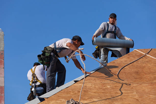 Best Storm Damage Roof Repair  in Holualoa, HI