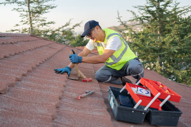 Best Roof Gutter Cleaning  in Holualoa, HI