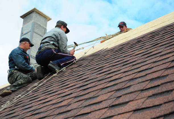 Best Roof Waterproofing Services  in Holualoa, HI