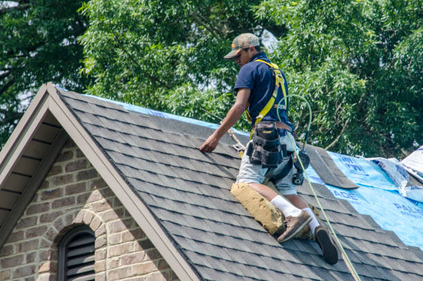 Best Commercial Roofing Services  in Holualoa, HI